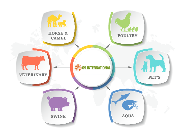 q9 international