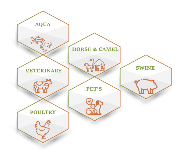 About Us Image