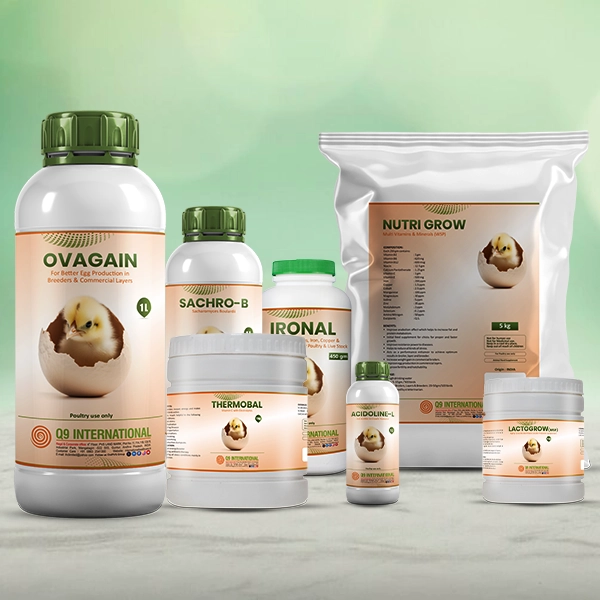 q9 international animal feed supplements