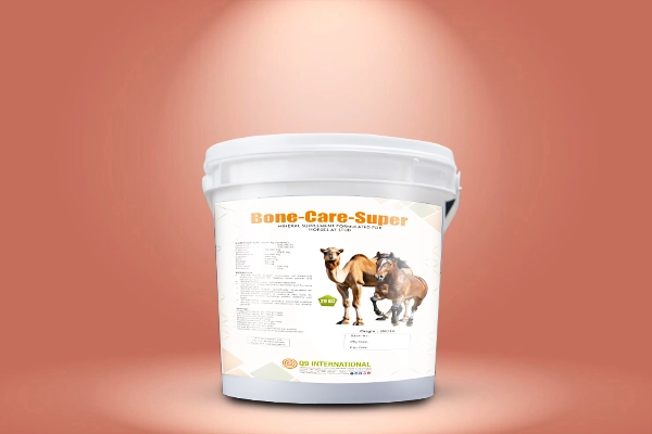 q9 international Horse and Camel feed supplements