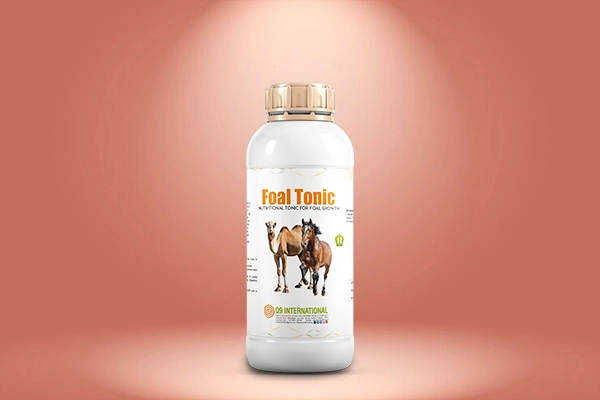 q9 international Horse and Camel feed supplements