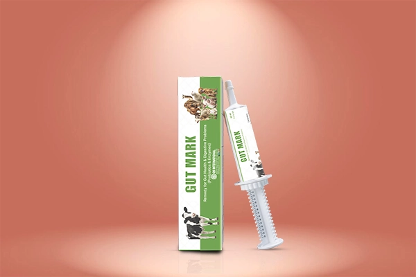 q9 international Horse and Camel feed supplements