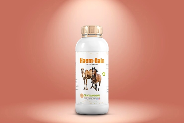 q9 international Horse and Camel feed supplements