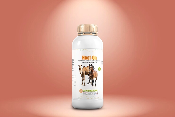 q9 international Horse and Camel feed supplements