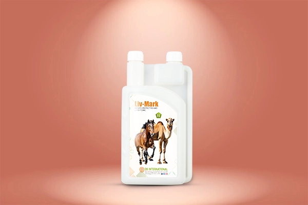 q9 international Horse and Camel feed supplements