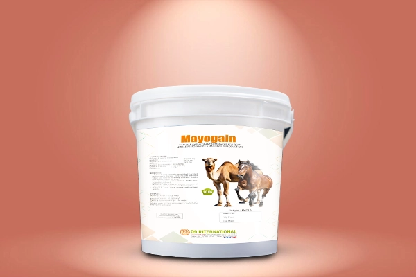 q9 international Horse and Camel feed supplements