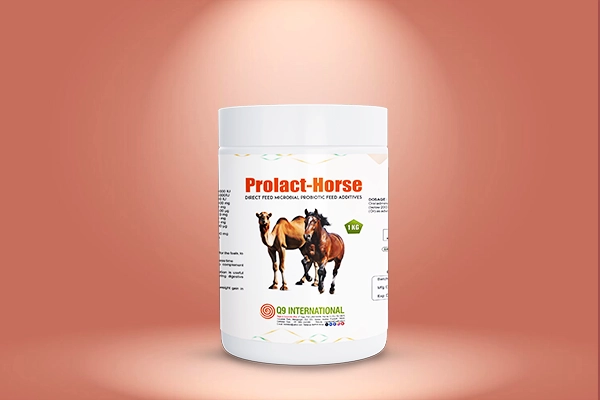 q9 international Horse and Camel feed supplements