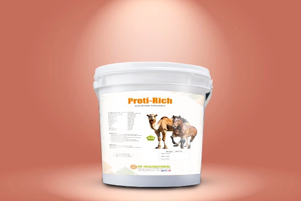 q9 international Horse and Camel feed supplements