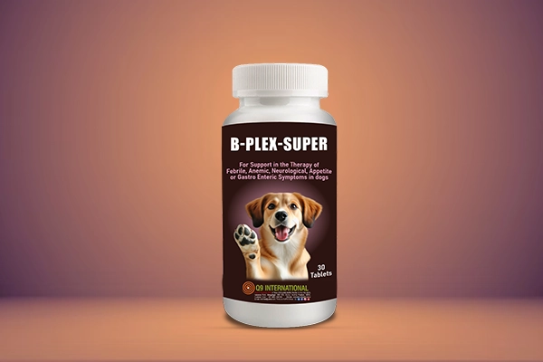 q9 international dog cat healthcare specialities