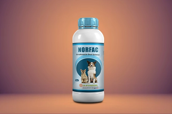 q9 international dog cat healthcare specialities