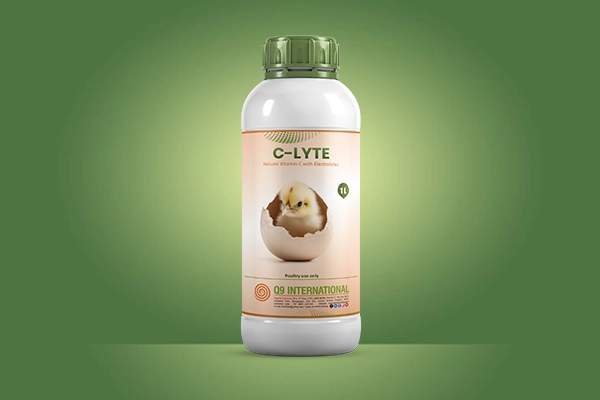 q9 international poultry feed supplements