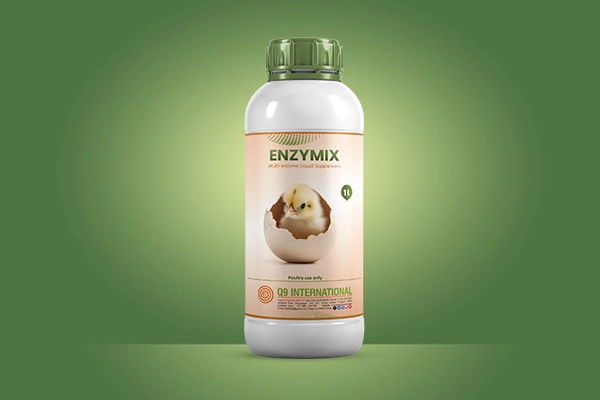 q9 international poultry feed supplements