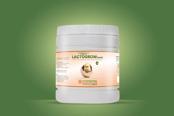 q9 international poultry feed supplements