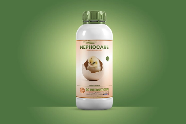 q9 international poultry feed supplements