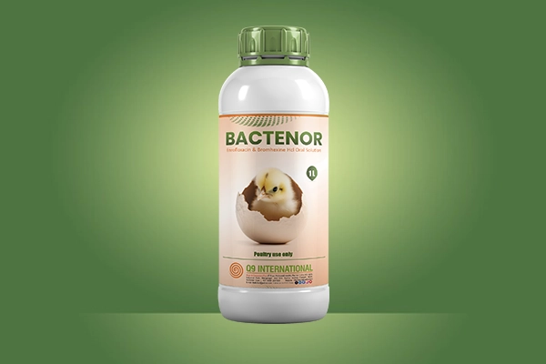 q9 international poultry treatment products