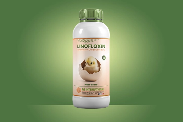 q9 international poultry treatment products