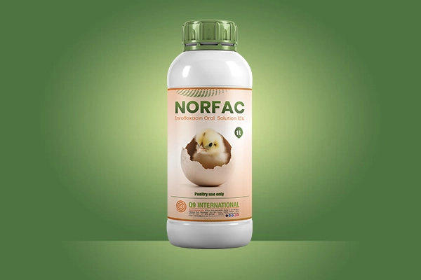 q9 international poultry treatment products