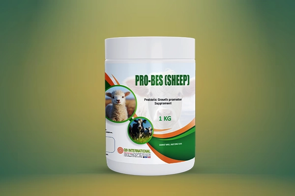 q9 international veterinary feed supplements