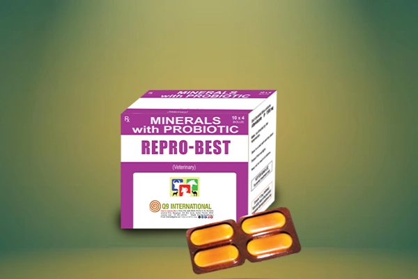 q9 international veterinary feed supplements