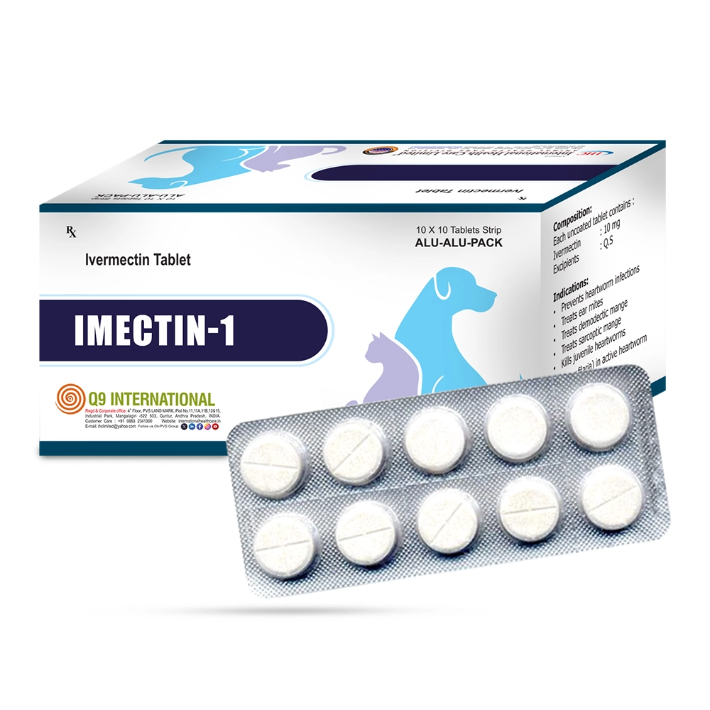 q9 international products
