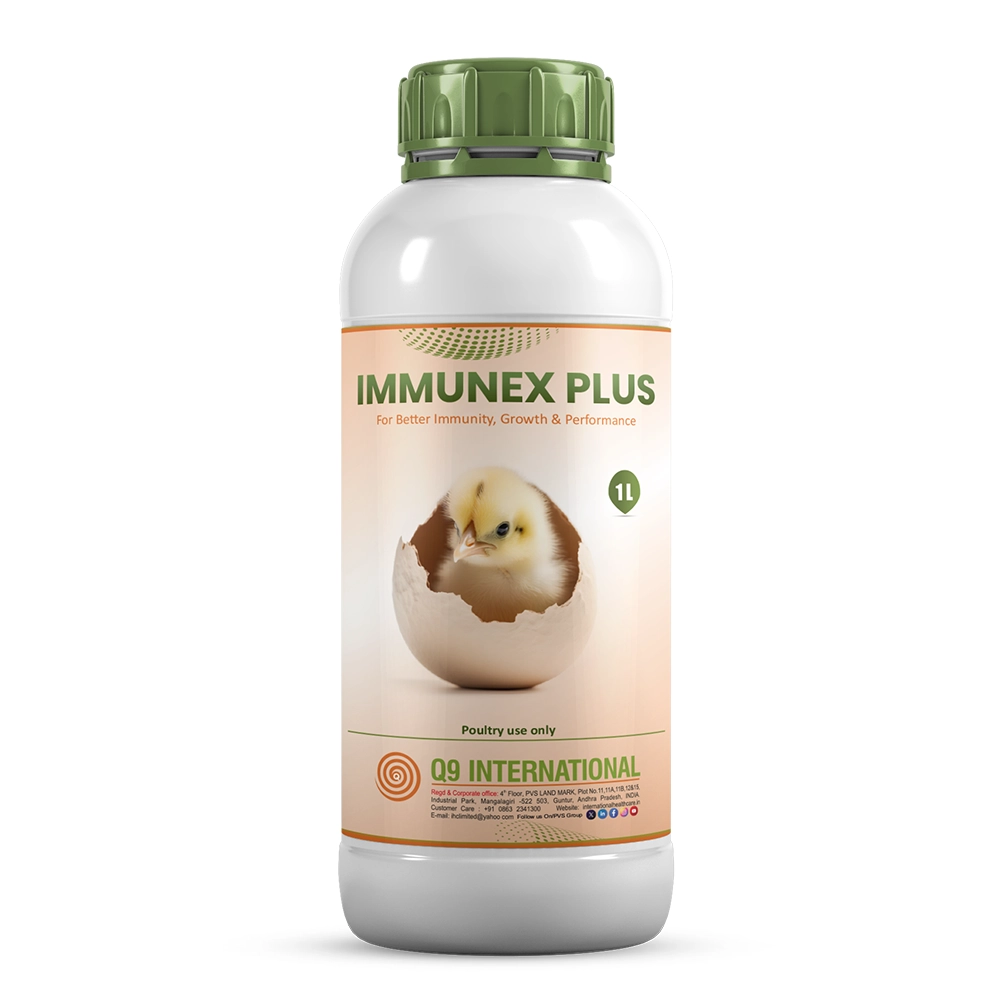 q9 international products