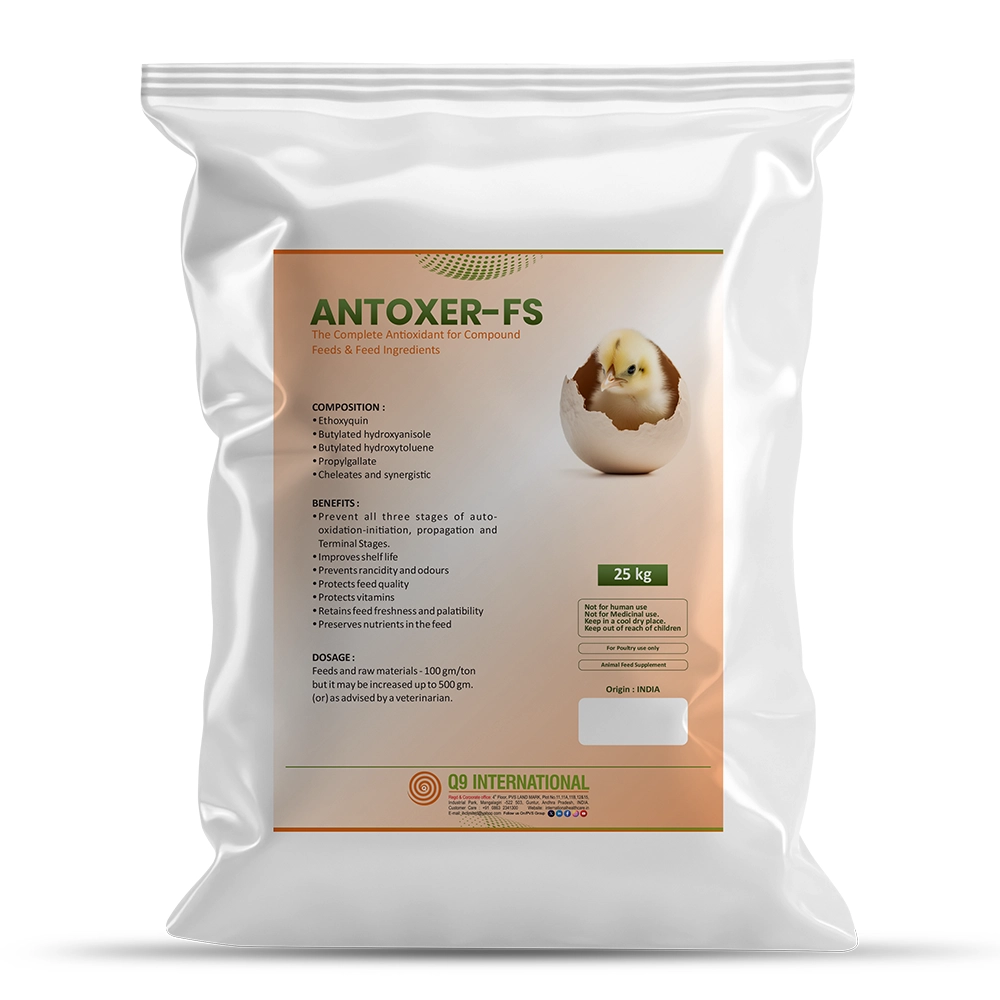 q9 international products