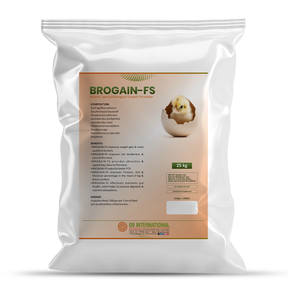 q9 international products