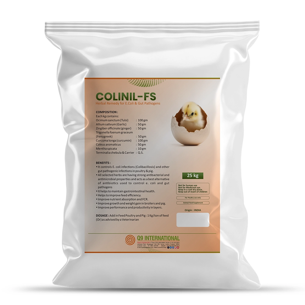 q9 international products