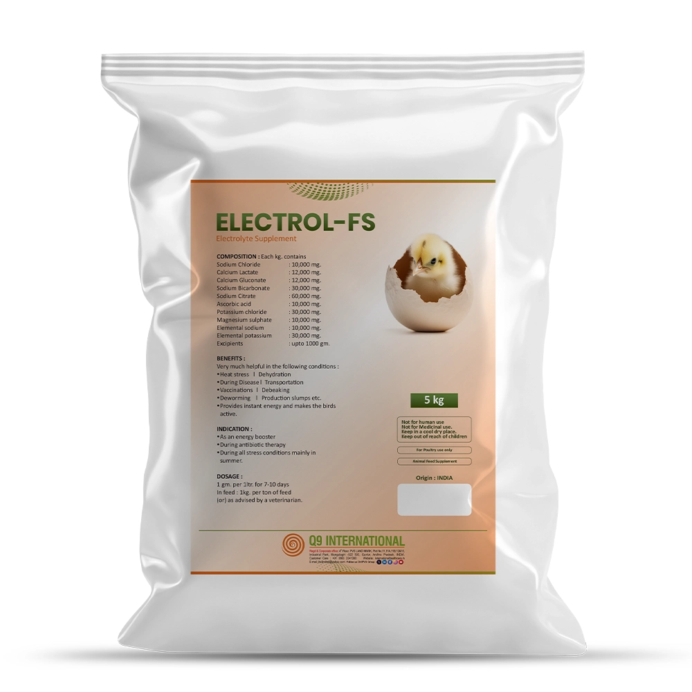 q9 international products
