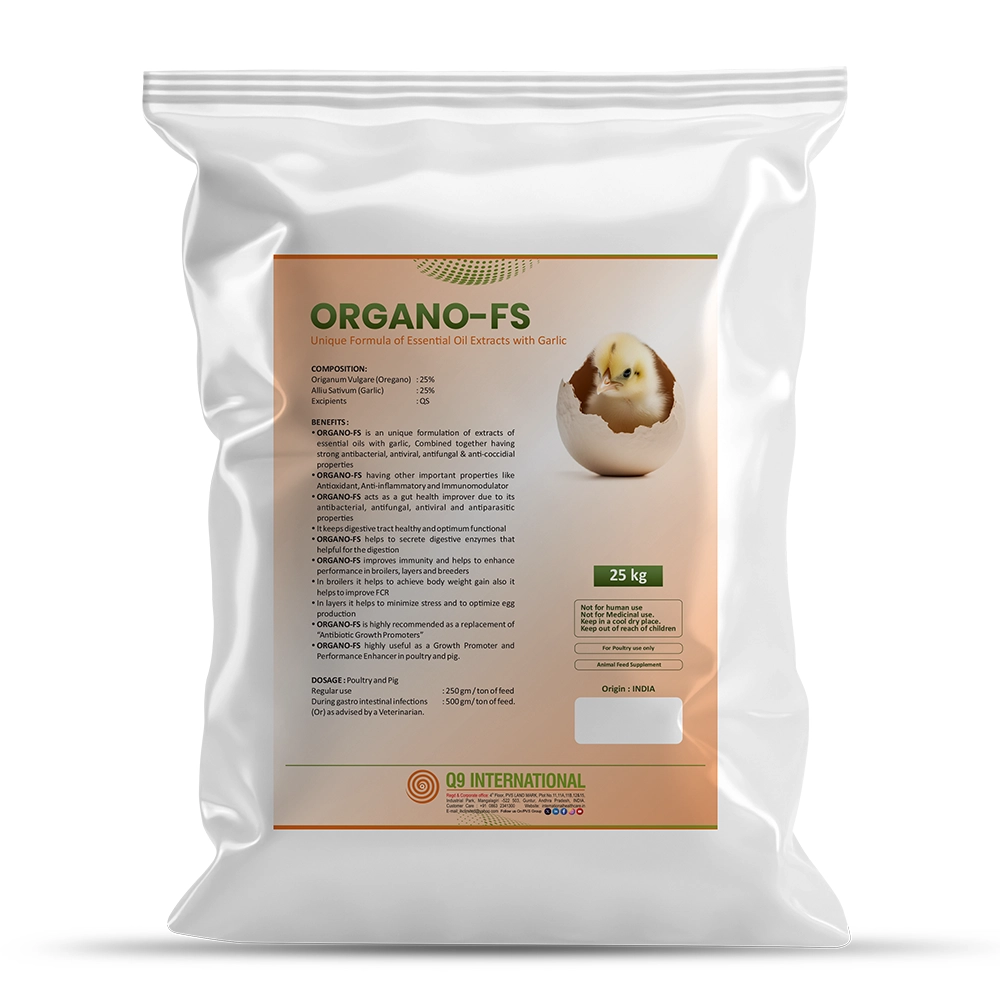 q9 international products