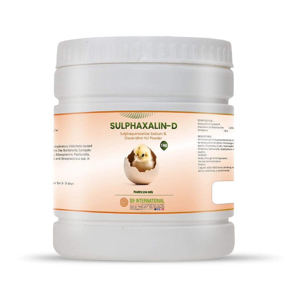 q9 international products