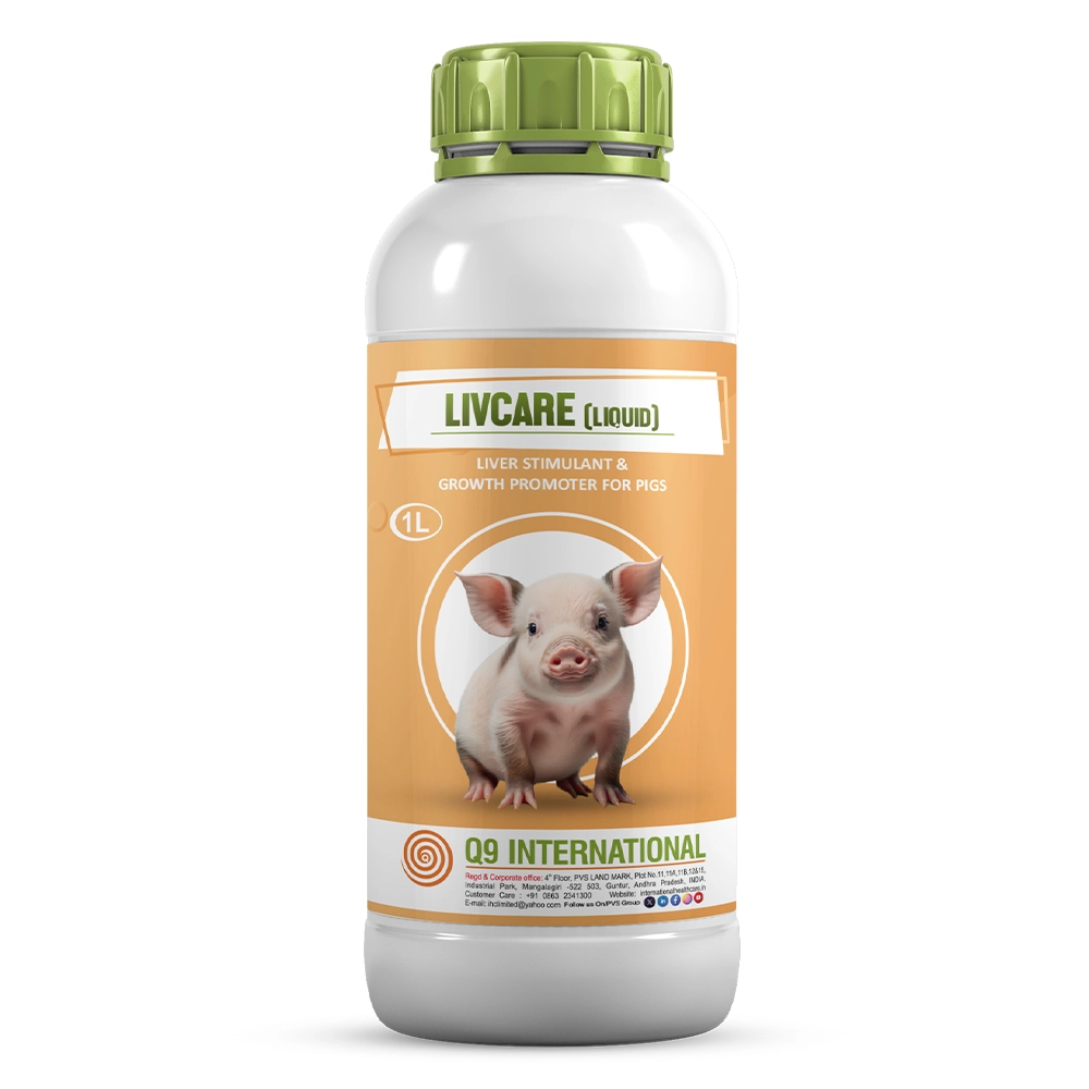 q9 international products