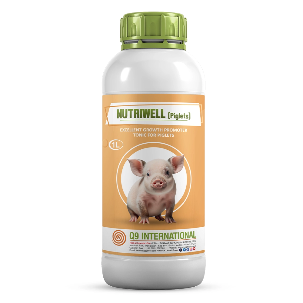 q9 international products