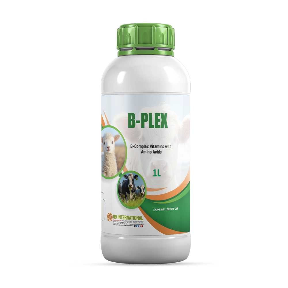 q9 international products