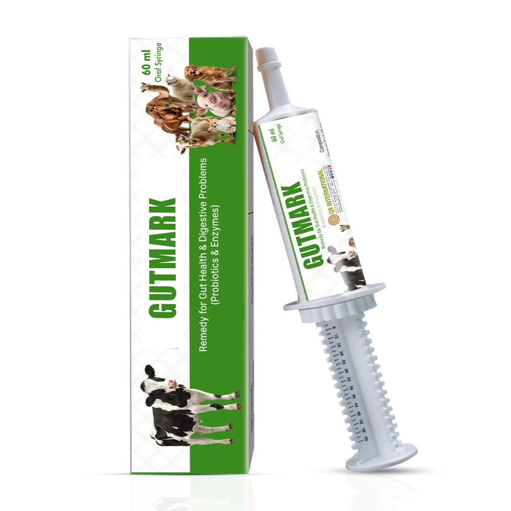 q9 international products