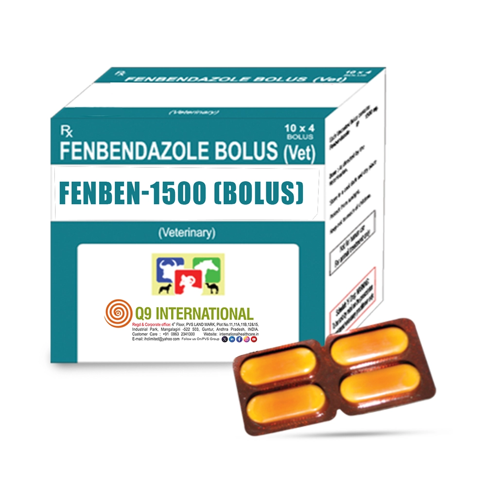 q9 international products