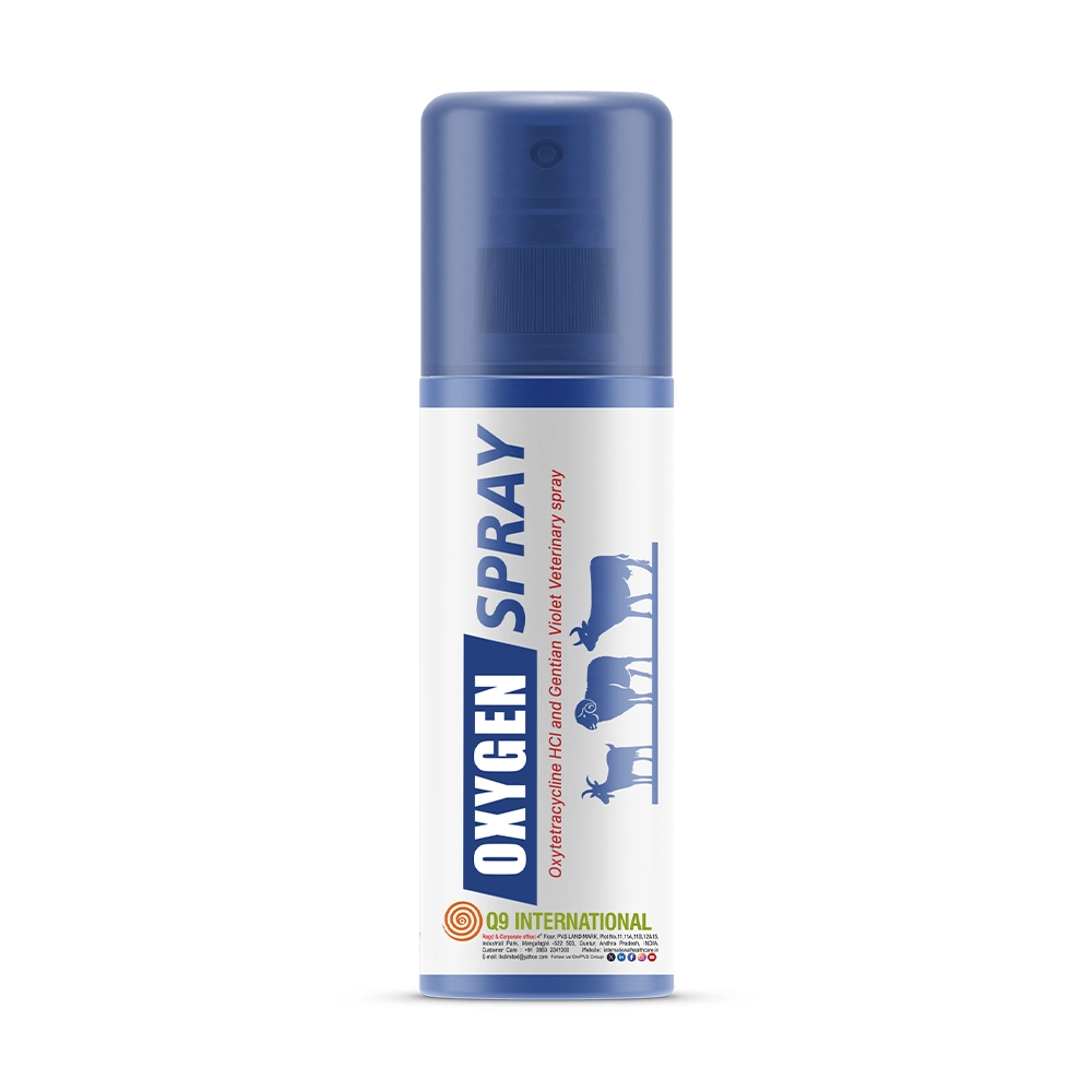 q9 international products